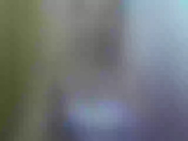 Live sex webcam photo for Dilliannah #292018569