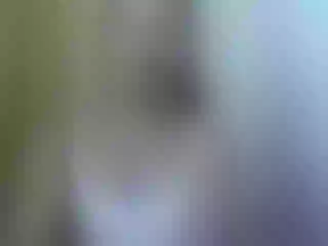 Live sex webcam photo for Dilliannah #292031954
