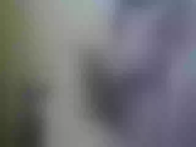 Live sex webcam photo for Dilliannah #292086474