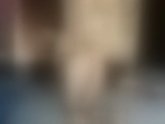 Live sex webcam photo for DilyaRae #290337134