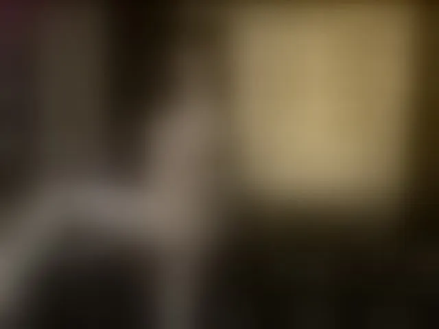 Live sex webcam photo for DilyaRae #292323950