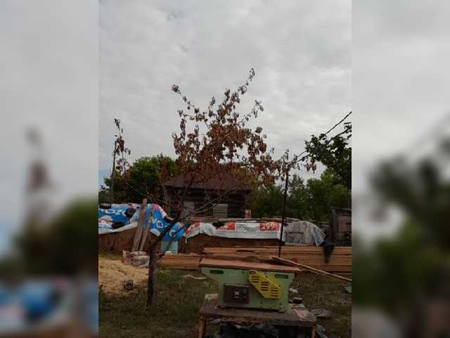 Live sex webcam photo for Dim8834441 #276136768