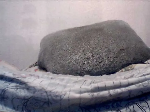 Live sex webcam photo for Dimidyk #278162907