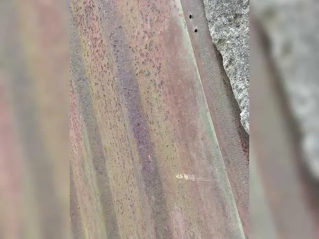 Live sex webcam photo for Dinawet #290778272