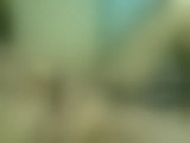 Live sex webcam photo for Dispatchercruise2 #293034026