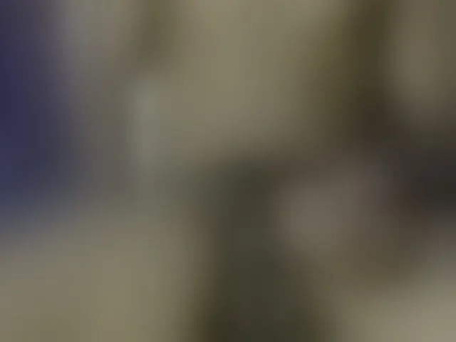Live sex webcam photo for Dispatchercruise2 #293218991
