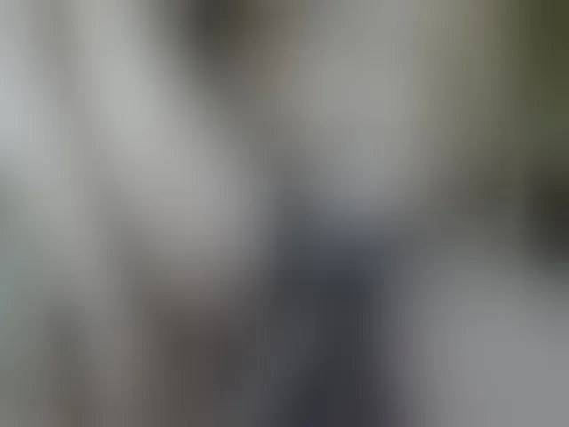 Live sex webcam photo for Dispatchercruise2 #293228634