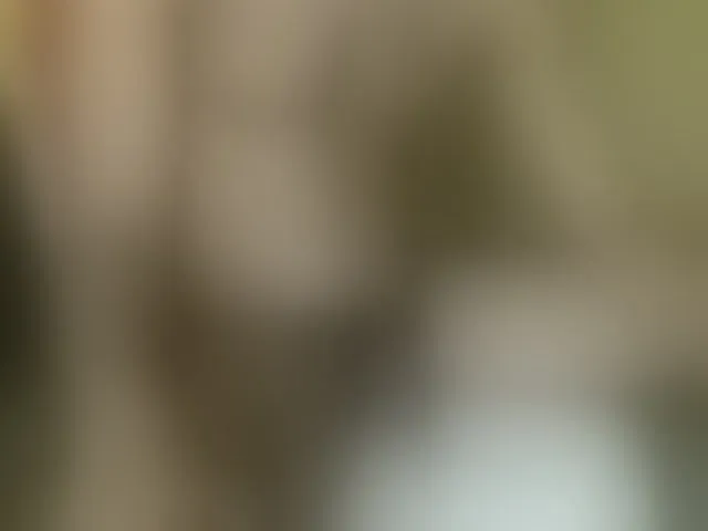 Live sex webcam photo for Dispatchercruise2 #293440814
