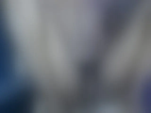 Live sex webcam photo for Dispatchercruise2 #293478775