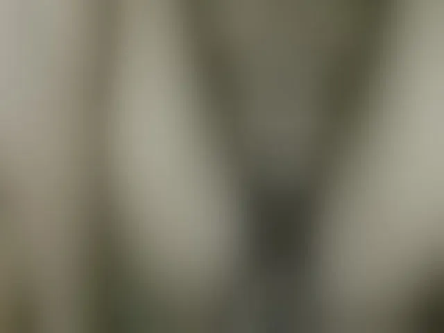 Live sex webcam photo for Dispatchercruise2 #293662166
