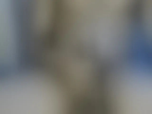 Live sex webcam photo for Dispatchercruise2 #293739551