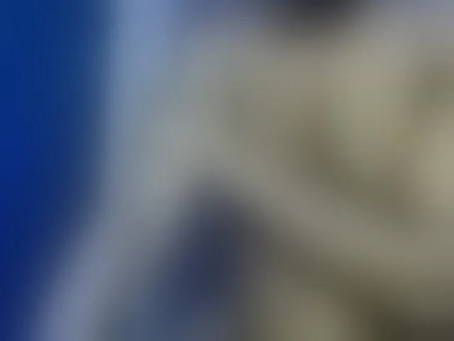 Live sex webcam photo for Dispatchercruise2 #293794148
