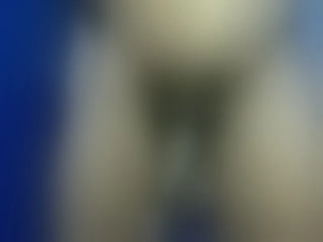 Live sex webcam photo for Dispatchercruise2 #293813454