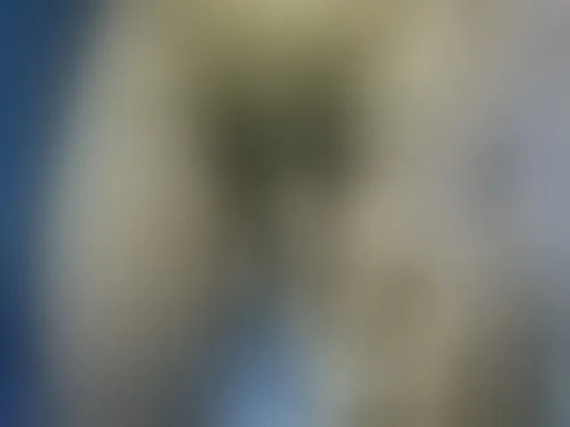Live sex webcam photo for Dispatchercruise2 #293814346