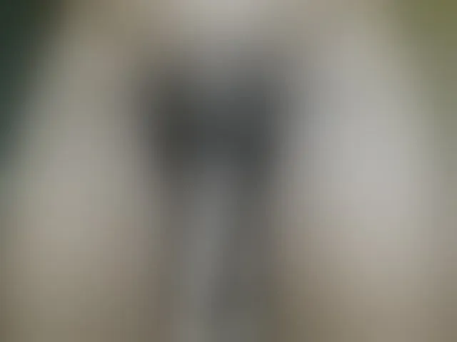 Live sex webcam photo for Dispatchercruise2 #293851165