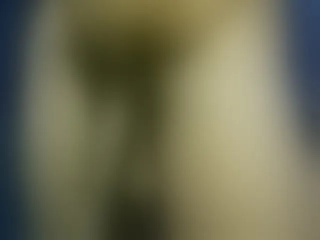 Live sex webcam photo for Dispatchercruise2 #293936798