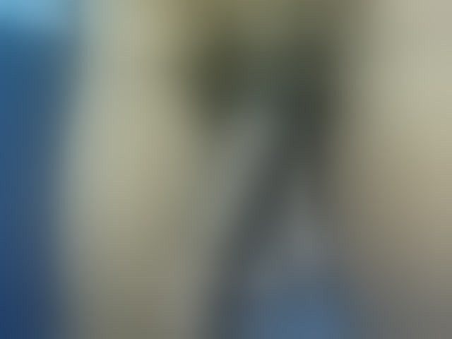 Live sex webcam photo for Dispatchercruise2 #293962086