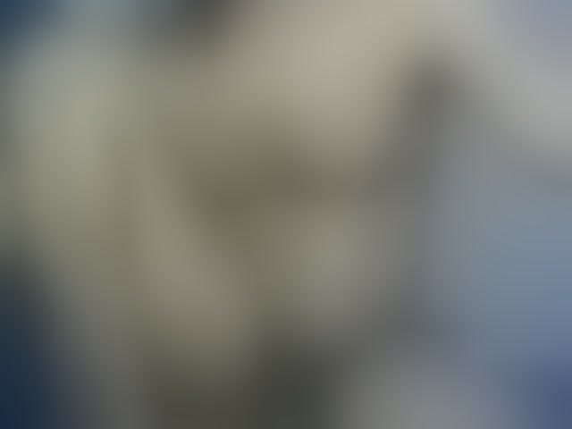 Live sex webcam photo for Dispatchercruise2 #293980561