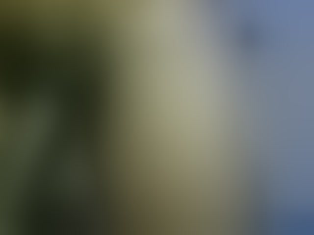 Live sex webcam photo for Dispatchercruise2 #293981967