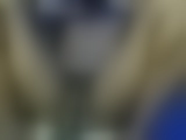Live sex webcam photo for Dispatchercruise2 #294088771