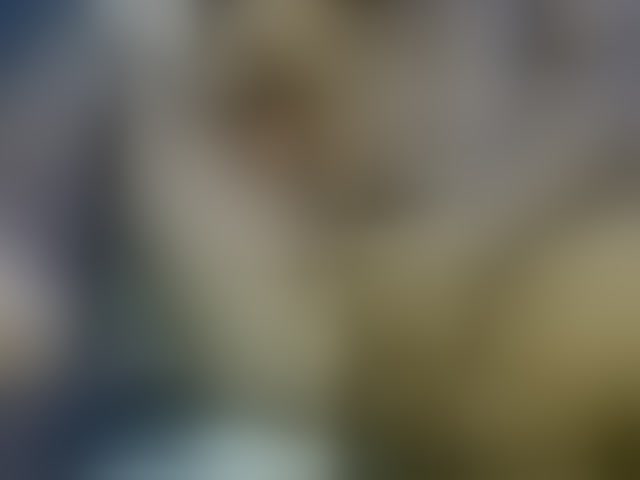 Live sex webcam photo for Dispatchercruise2 #294114398