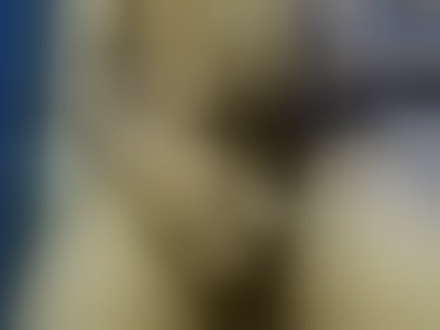 Live sex webcam photo for Dispatchercruise2 #294144645