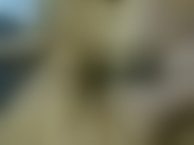 Live sex webcam photo for Dispatchercruise2 #294245227