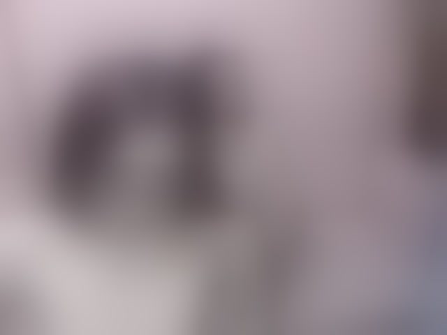 Live sex webcam photo for DiversedSluttyBitches #291728135
