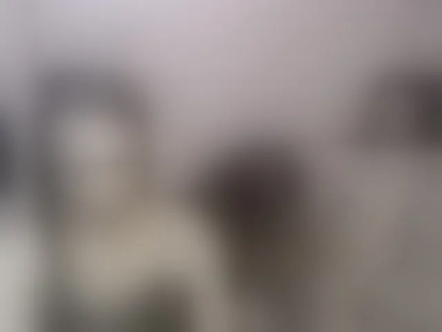 Live sex webcam photo for DiversedSluttyBitches #291779225
