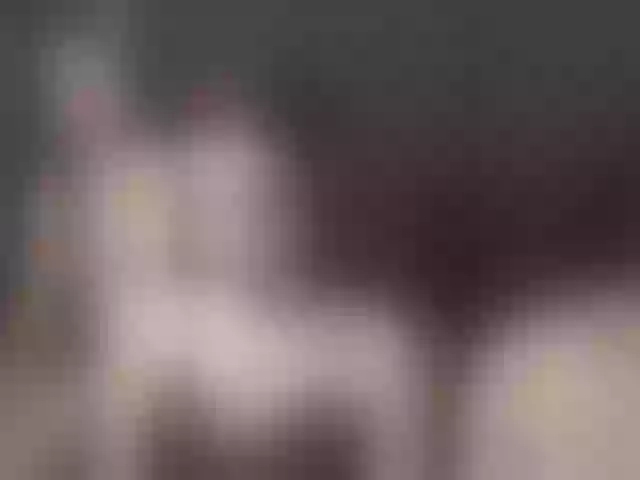 Live sex webcam photo for DiversedSluttyBitches #292130179