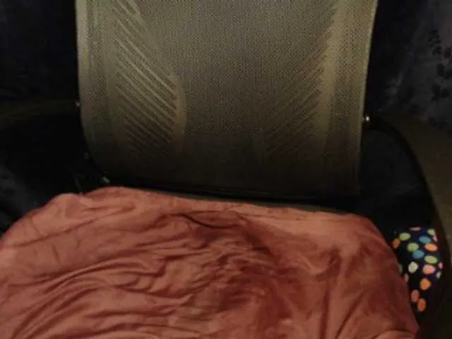 Live sex webcam photo for DivineGoddes #272502734