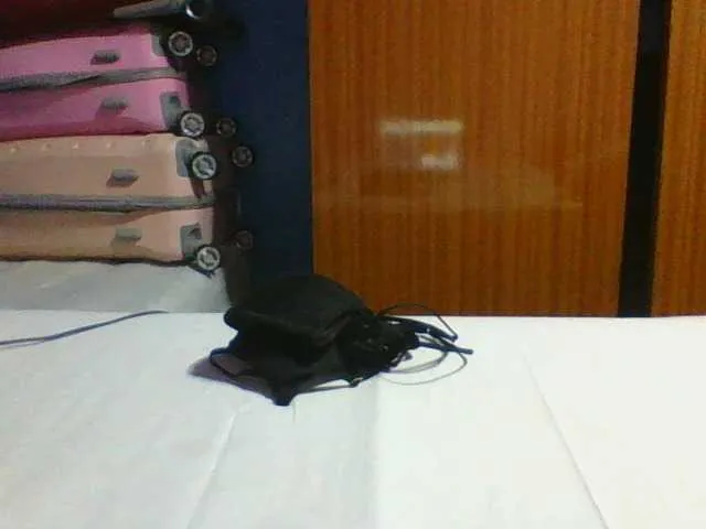 Live sex webcam photo for Dizzydose1 #290182040