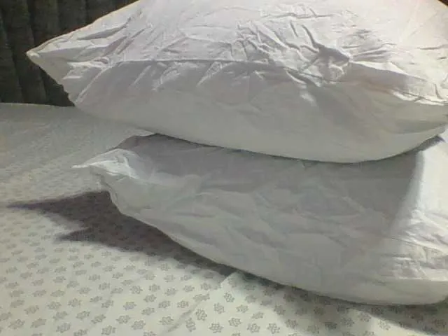 Live sex webcam photo for Dizzydose1 #290240506