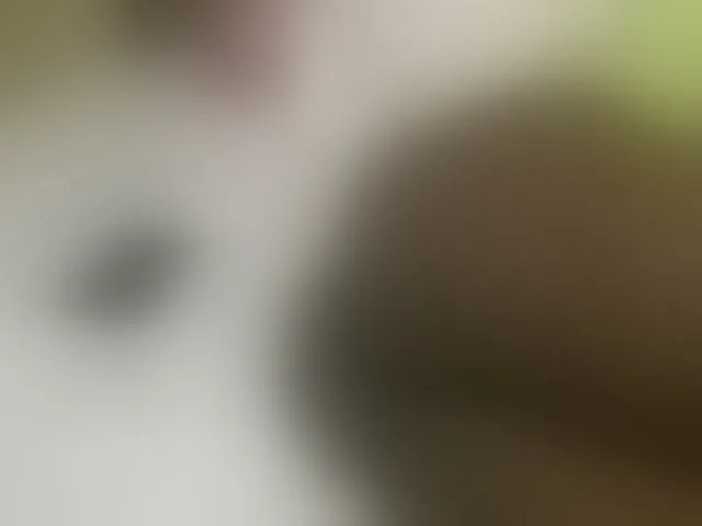 Live sex webcam photo for Dizzydose1 #292504004