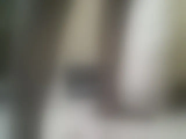 Live sex webcam photo for Dizzydose1 #292657574