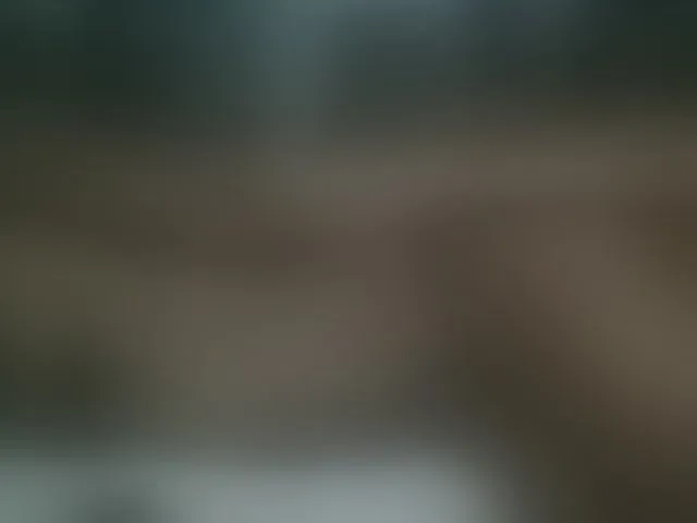 Live sex webcam photo for Dizzydose1 #293459208