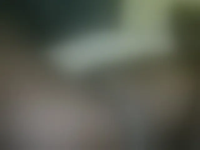 Live sex webcam photo for Dizzydose1 #293467353