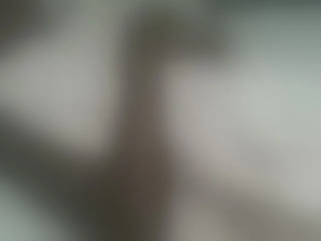 Live sex webcam photo for Dizzydose1 #293892565