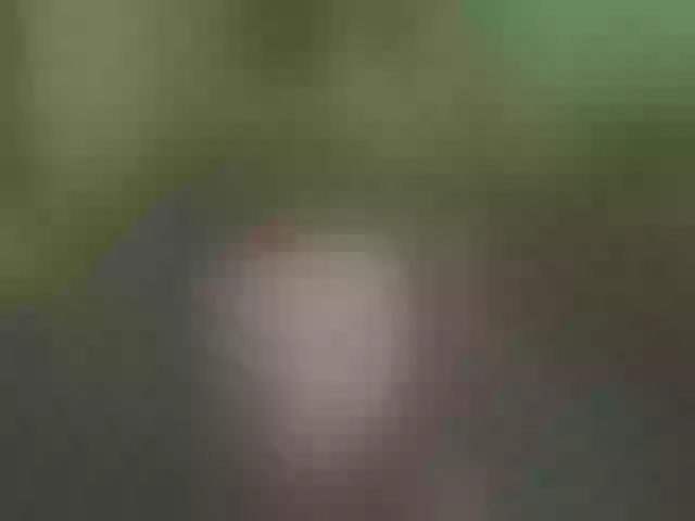 Live sex webcam photo for Djpilot #292042934