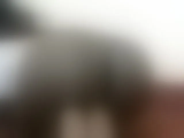 Live sex webcam photo for Dollycum #289619618