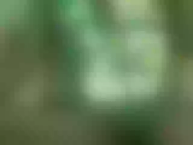Live sex webcam photo for Dollycum #290709322