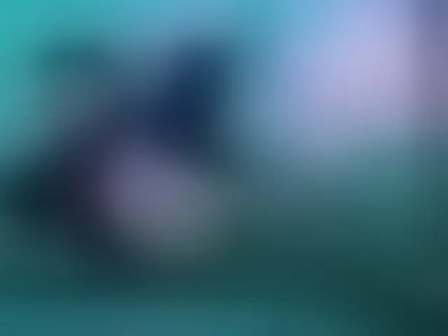 Live sex webcam photo for Dolmancee #293756081