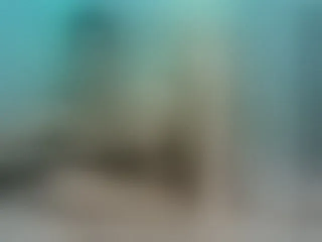 Live sex webcam photo for Dolmancee #293870792