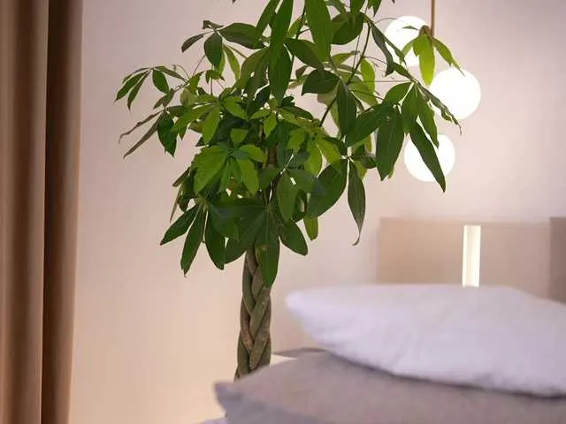 Live sex webcam photo for DorisCream #291926480