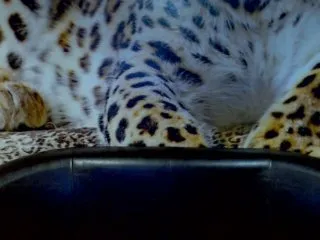 Live sex webcam photo for DorisDoll #125929985