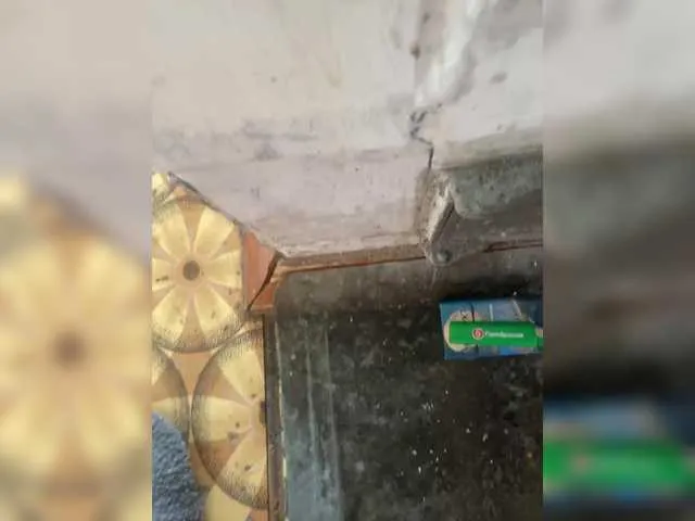 Live sex webcam photo for Dragon-sex-1 #291110448