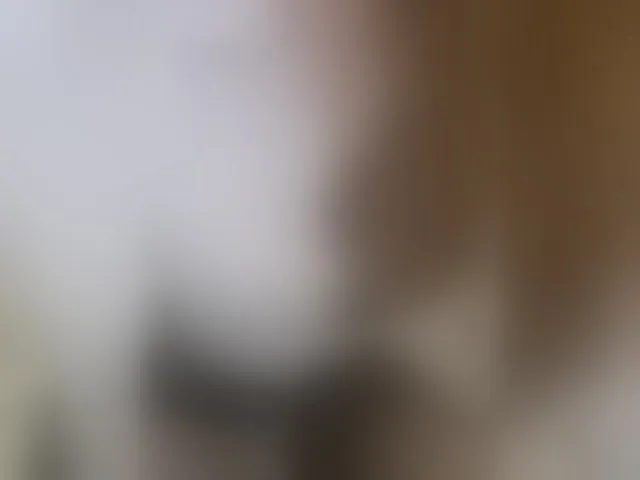 Live sex webcam photo for Dream-me-summer #294076398