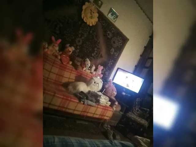 Live sex webcam photo for DreamLoves #276321166