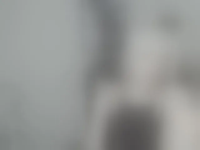 Live sex webcam photo for DreamNIKA #293852160