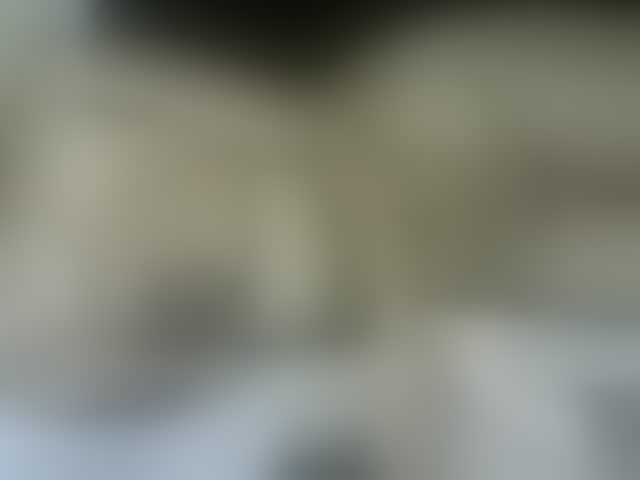 Live sex webcam photo for Drippqueen254 #293566070